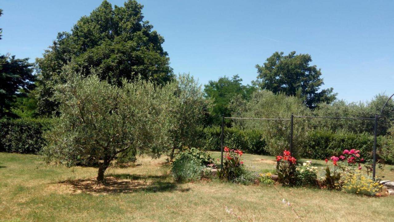 Apartments Ghedas Πόρετς Εξωτερικό φωτογραφία